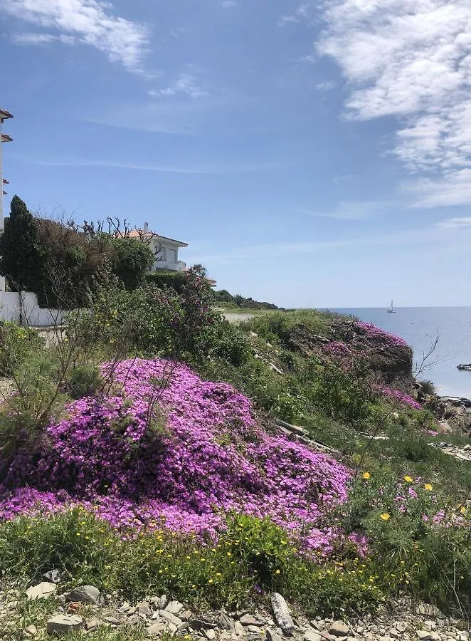 Beachfront Duplex With Terrace And Sea Views - Cadaqués 0*,