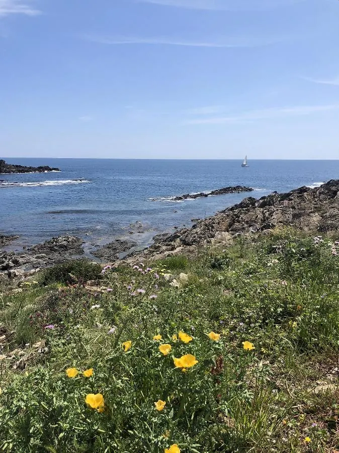 Beachfront Duplex With Terrace And Sea Views - Cadaques Holiday home